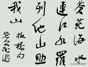 鷨Ҫ