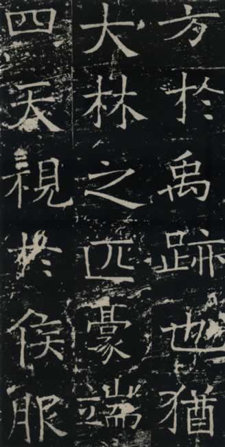 ڷ豮-10ͼ