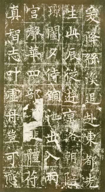 鷶-20ͼ