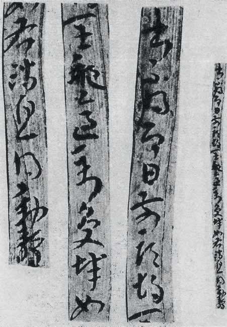 鲻õּͼ